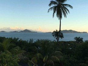 Face aux Saintes